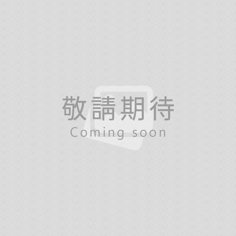 素食料理包